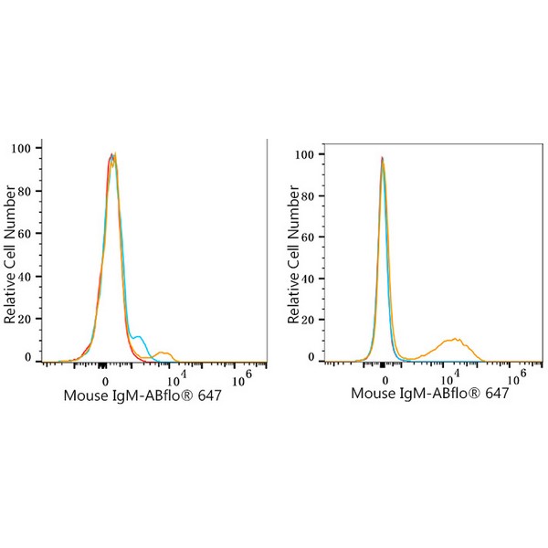 ABflo® 647 Rabbit anti-Mouse IgM mAb (Catalog Number: A23115) Abclonal