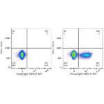 Abclonal ABflo® 647 Rabbit anti-Mouse IgM mAb (Catalog Number: A23115)