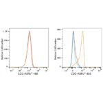 ABflo® 488 Rabbit anti-Human CD2 mAb (A23116)