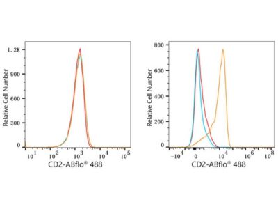 ABflo® 488 Rabbit anti-Human CD2 mAb (A23116)