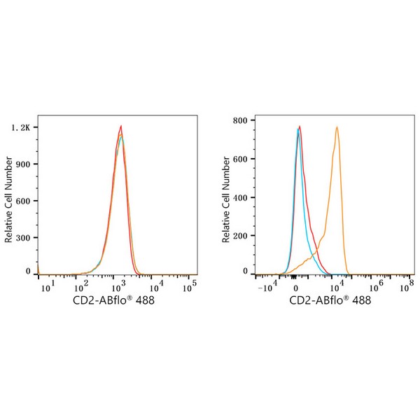 ABflo® 488 Rabbit anti-Human CD2 mAb (A23116) ABflo® 488 Rabbit anti-Human CD2 mAb (A23116)