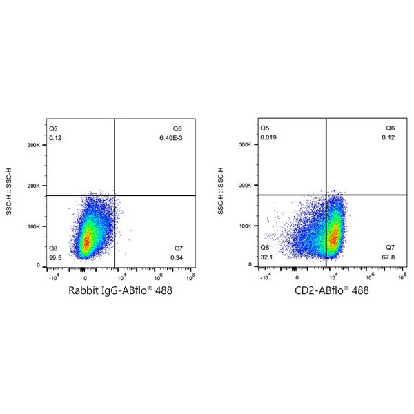 A23116: ABflo® 488 Rabbit anti-Human CD2 mAb