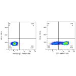 Abclonal ABflo® 488 Rabbit anti-Human CD2 mAb (Catalog Number: A23116)