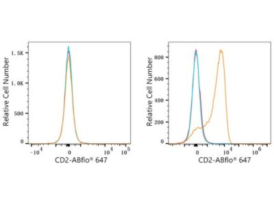 ABflo® 647 Rabbit anti-Human CD2 mAb (A23117)