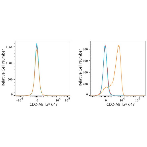 ABflo® 647 Rabbit anti-Human CD2 mAb (A23117)