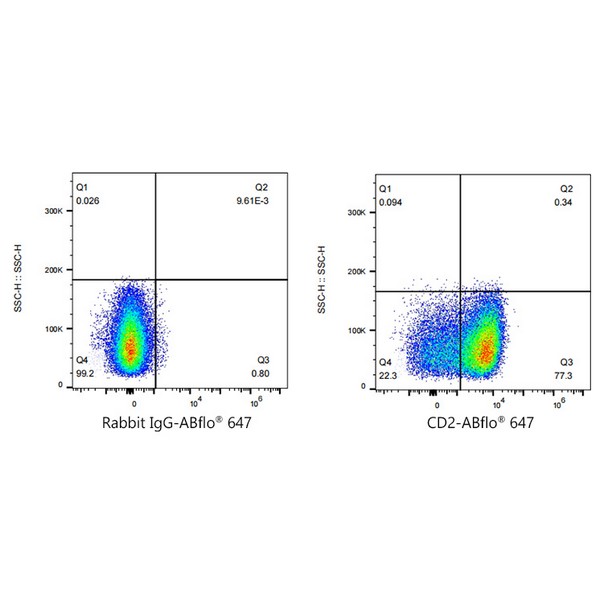 A23117: ABflo® 647 Rabbit anti-Human CD2 mAb