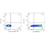 Abclonal ABflo® 647 Rabbit anti-Human CD2 mAb (Catalog Number: A23117)