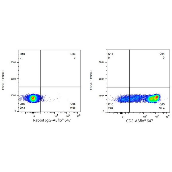 Abclonal ABflo® 647 Rabbit anti-Human CD2 mAb (Catalog Number: A23117)