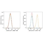 ABflo® 488 Rabbit anti-Human NGFR/CD271 mAb (A23118)