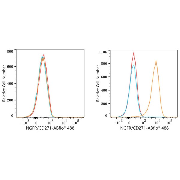 ABflo® 488 Rabbit anti-Human NGFR/CD271 mAb (A23118) ABflo® 488 Rabbit anti-Human NGFR/CD271 mAb (A23118)