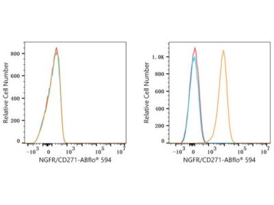 ABflo® 594 Rabbit anti-Human NGFR/CD271 mAb (A23119)