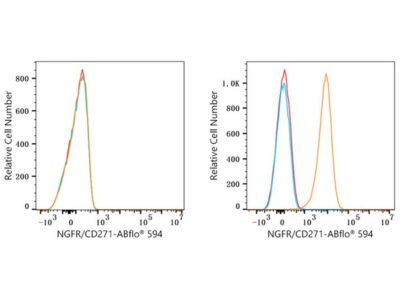 ABflo® 594 Rabbit anti-Human NGFR/CD271 mAb (A23119)