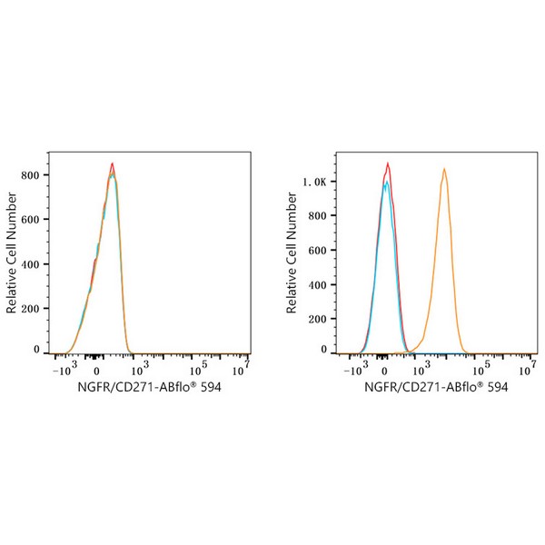 ABflo® 594 Rabbit anti-Human NGFR/CD271 mAb (A23119) ABflo® 594 Rabbit anti-Human NGFR/CD271 mAb (A23119)
