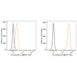 ABflo® 647 Rabbit anti-puromycin mAb (A23131)