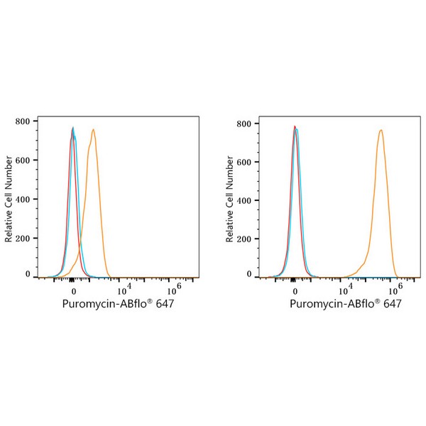 ABflo® 647 Rabbit anti-puromycin mAb (A23131) ABflo® 647 Rabbit anti-puromycin mAb (A23131)