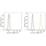 ABflo® 647 Rabbit anti-puromycin mAb (Catalog Number: A23131) Abclonal