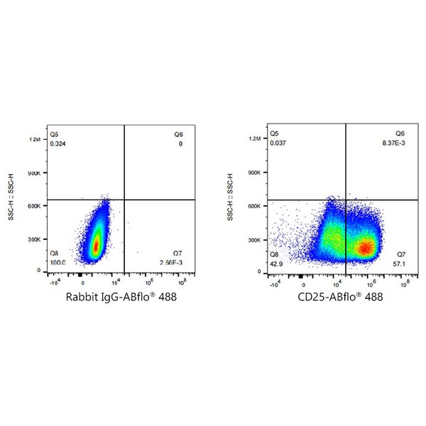 A23169: ABflo® 488 Rabbit anti-Human CD25 mAb