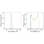 ABflo® 647 Rabbit anti-Human CD25 mAb (A23170)