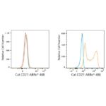 ABflo® 488 Rabbit anti-Cat CD27 mAb (A23171)
