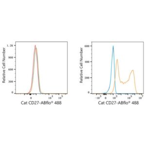ABflo® 488 Rabbit anti-Cat CD27 mAb (A23171)