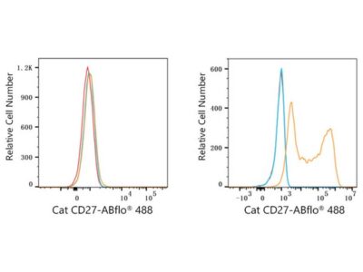 ABflo® 488 Rabbit anti-Cat CD27 mAb (A23171)