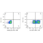 A23171: ABflo® 488 Rabbit anti-Cat CD27 mAb