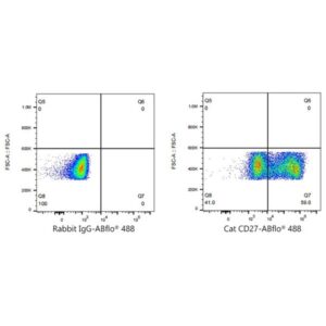 A23171: ABflo® 488 Rabbit anti-Cat CD27 mAb