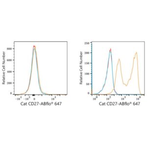 ABflo® 647 Rabbit anti-Cat CD27 mAb (A23172)