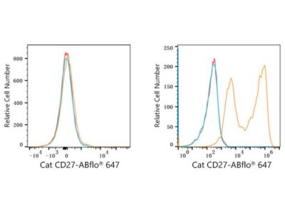 ABflo® 647 Rabbit anti-Cat CD27 mAb (A23172)