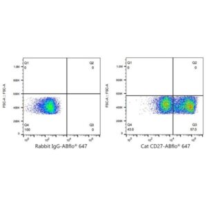 A23172: ABflo® 647 Rabbit anti-Cat CD27 mAb