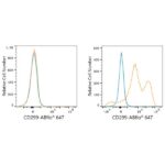 ABflo® 647 Rabbit anti-Human DC-SIGNR/CD299 mAb (A23174)