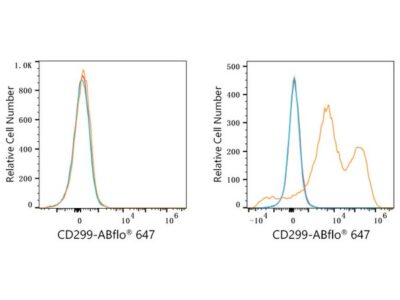 ABflo® 647 Rabbit anti-Human DC-SIGNR/CD299 mAb (A23174)