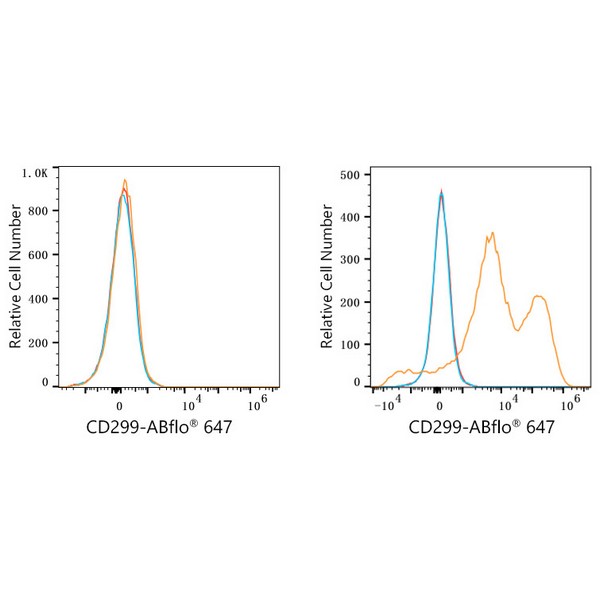 ABflo® 647 Rabbit anti-Human DC-SIGNR/CD299 mAb (A23174) ABflo® 647 Rabbit anti-Human DC-SIGNR/CD299 mAb (A23174)
