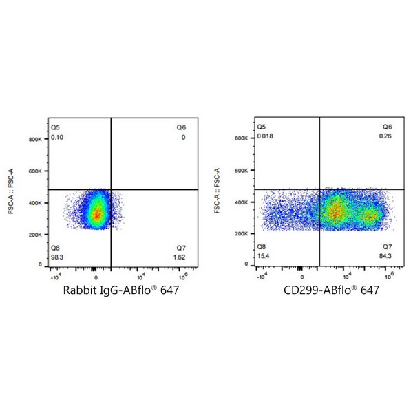A23174: ABflo® 647 Rabbit anti-Human DC-SIGNR/CD299 mAb