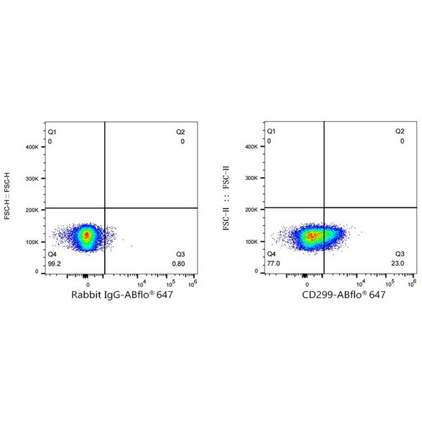 Abclonal ABflo® 647 Rabbit anti-Human DC-SIGNR/CD299 mAb (Catalog Number: A23174)
