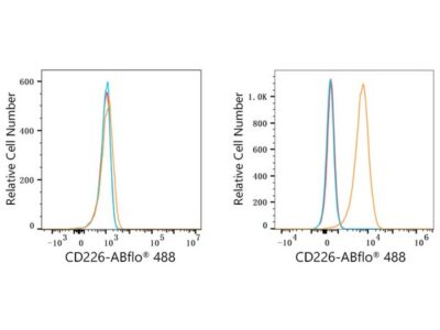 ABflo® 488 Rabbit anti-Human DNAM-1/CD226 mAb (A23175)