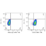 A23175: ABflo® 488 Rabbit anti-Human DNAM-1/CD226 mAb