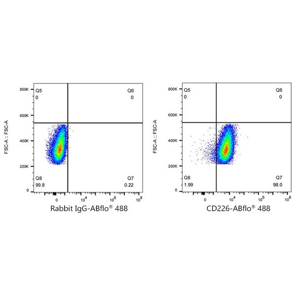 A23175: ABflo® 488 Rabbit anti-Human DNAM-1/CD226 mAb