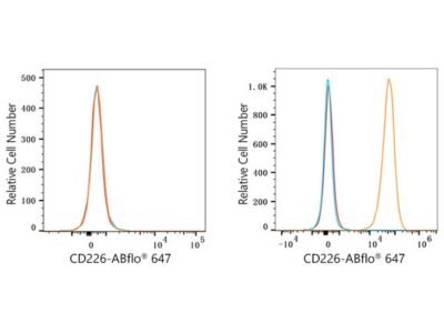 ABflo® 647 Rabbit anti-Human DNAM-1/CD226 mAb (A23176)