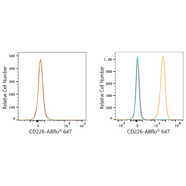 ABflo® 647 Rabbit anti-Human DNAM-1/CD226 mAb (A23176) ABflo® 647 Rabbit anti-Human DNAM-1/CD226 mAb (A23176)