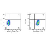 A23176: ABflo® 647 Rabbit anti-Human DNAM-1/CD226 mAb