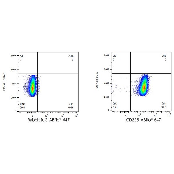 A23176: ABflo® 647 Rabbit anti-Human DNAM-1/CD226 mAb