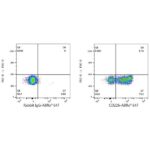 Abclonal ABflo® 647 Rabbit anti-Human DNAM-1/CD226 mAb (Catalog Number: A23176)