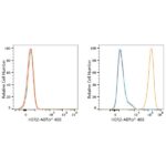 ABflo® 488 Rabbit anti-Human HER2/ErbB2 mAb (A23182)
