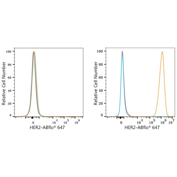 ABflo® 647 Rabbit anti-Human HER2/ErbB2 mAb (A23183) ABflo® 647 Rabbit anti-Human HER2/ErbB2 mAb (A23183)