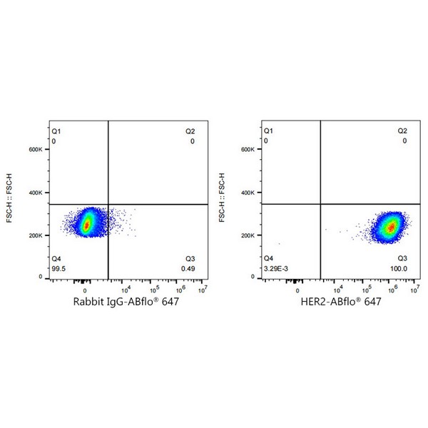 ABflo® 647 Rabbit anti-Human HER2/ErbB2 mAb (Catalog Number: A23183) Abclonal