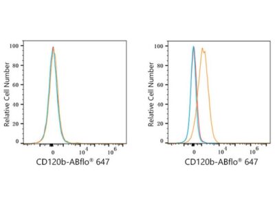 ABflo® 647 Rabbit anti-Human CD120b/TNFRSF1B mAb (A23222)
