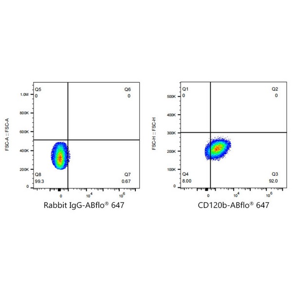 A23222: ABflo® 647 Rabbit anti-Human CD120b/TNFRSF1B mAb
