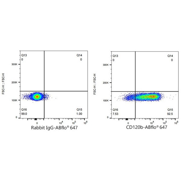 Abclonal ABflo® 647 Rabbit anti-Human CD120b/TNFRSF1B mAb (Catalog Number: A23222)