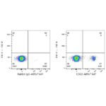 ABflo® 647 Rabbit anti-Human CD22 mAb (Catalog Number: A23360) Abclonal